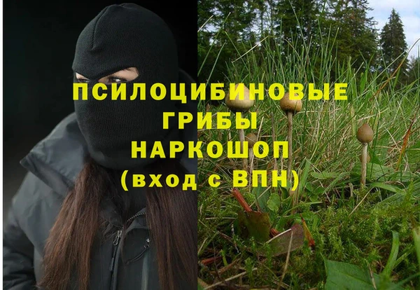 тгк Магадан