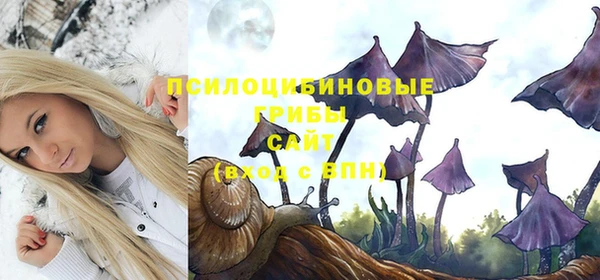 тгк Магадан