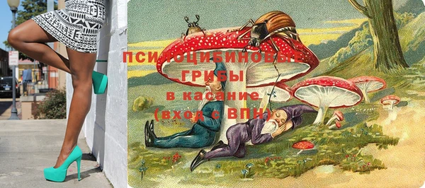 тгк Магадан